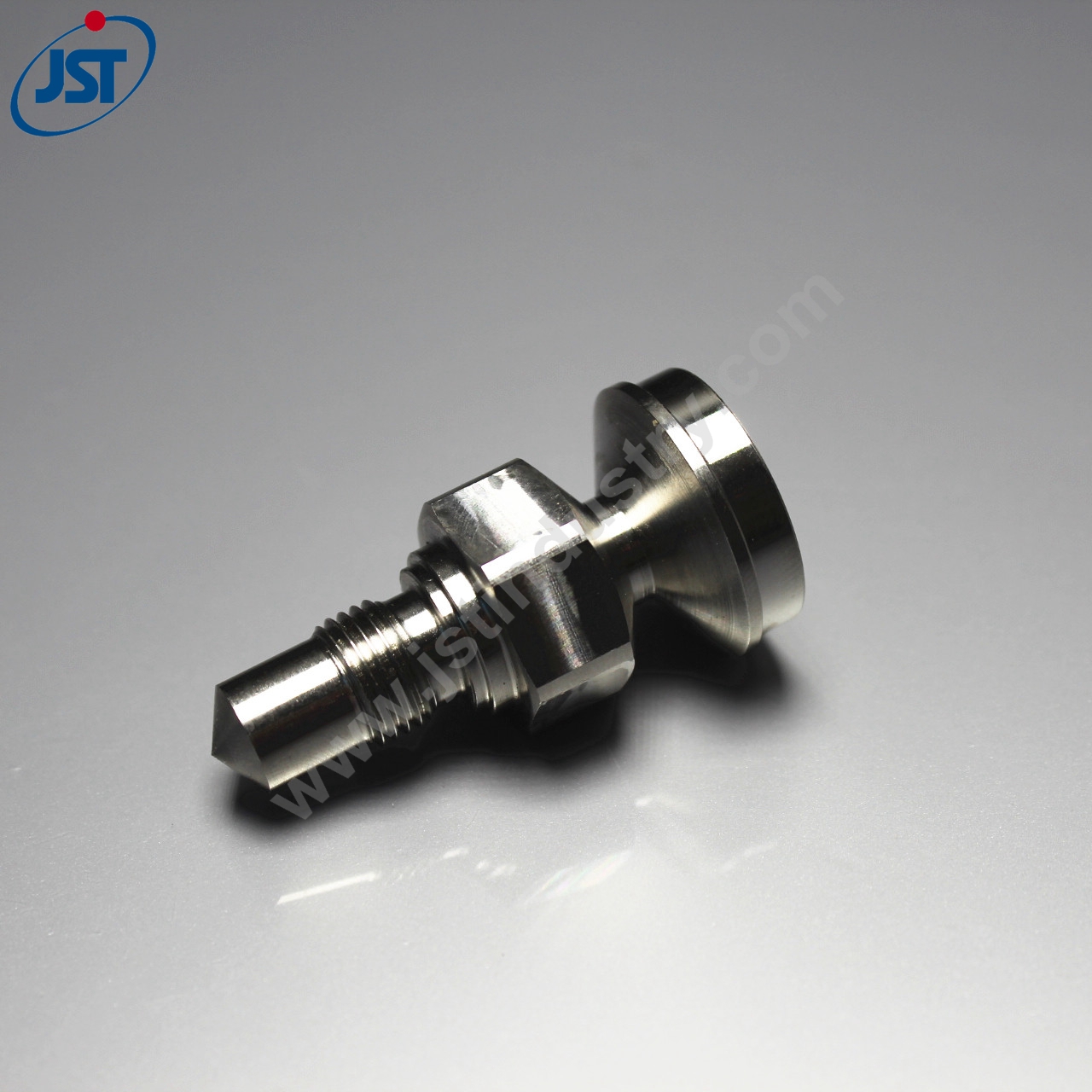 Custom Precision Stainless Steel Turning Parts for Automobile